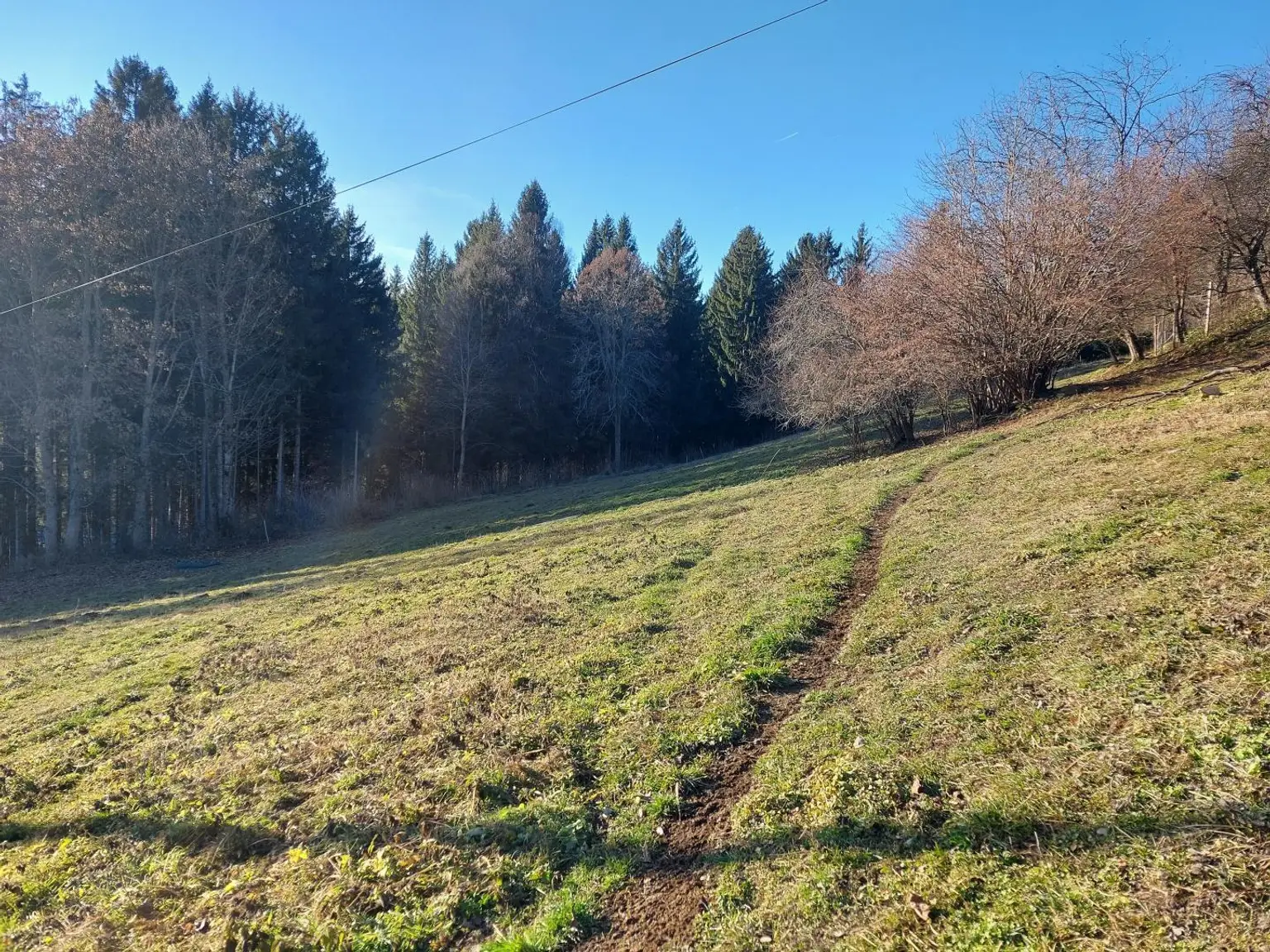 Blick nach Nordwest über das Bauland