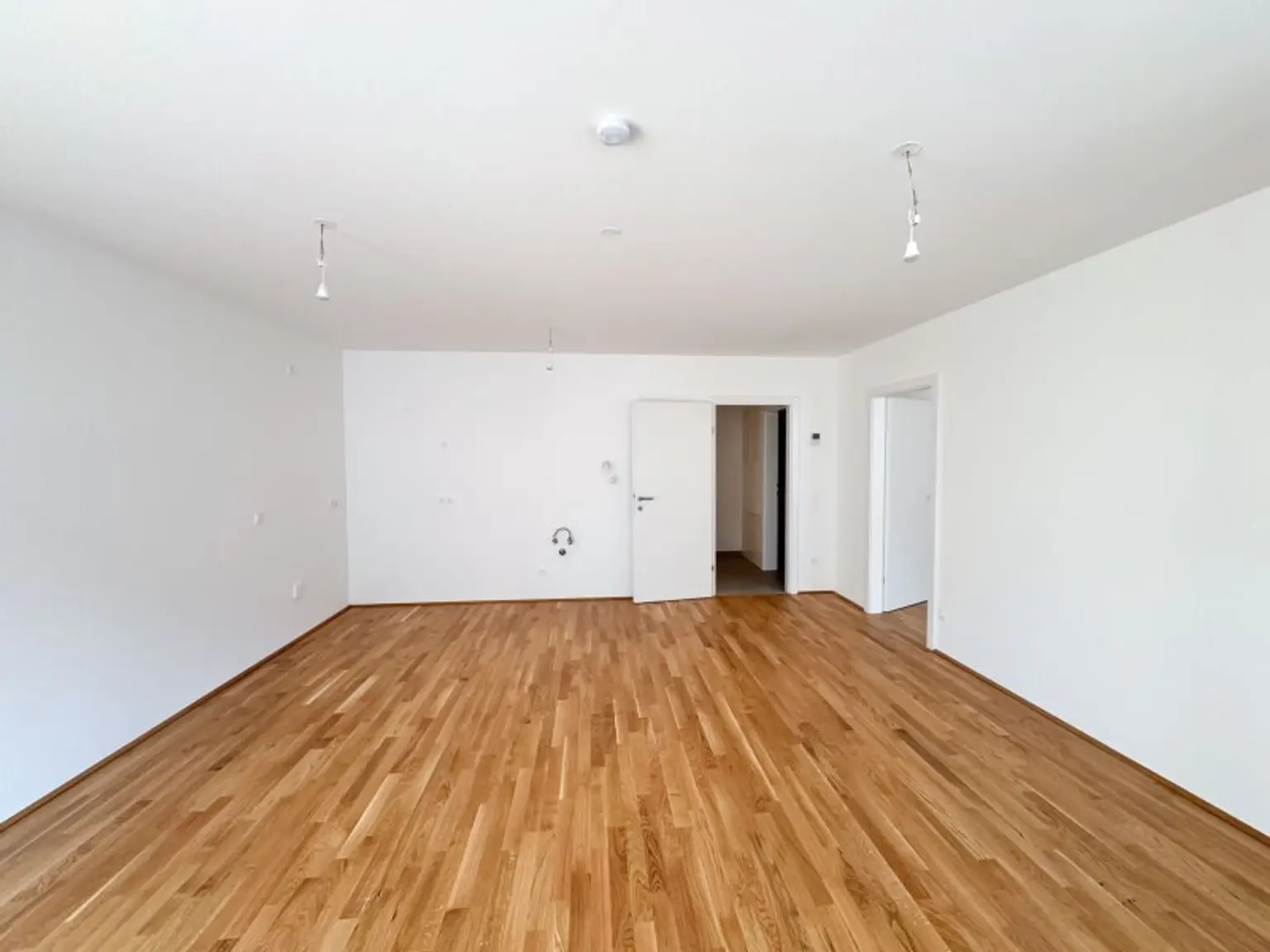 ERSTBEZUG! Zwei-Zimmer Wohnung in der Rappgasse! Mehrere Einheiten verfügbar!