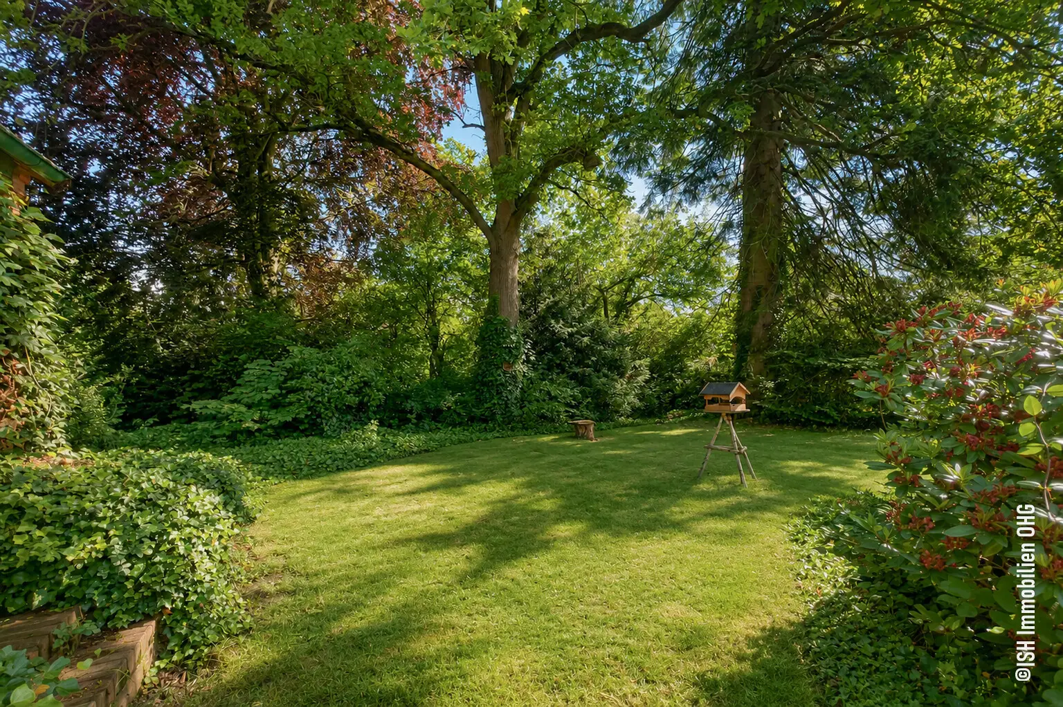 Blick in den Garten