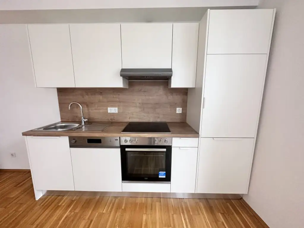 Charmante 53m² Altbauwohnung, 2 Zimmer, neue Einbauküche & Lift
