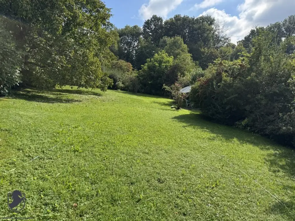 Einfamilienhaus mit großem Keller und traumhaftem Wald-Blick