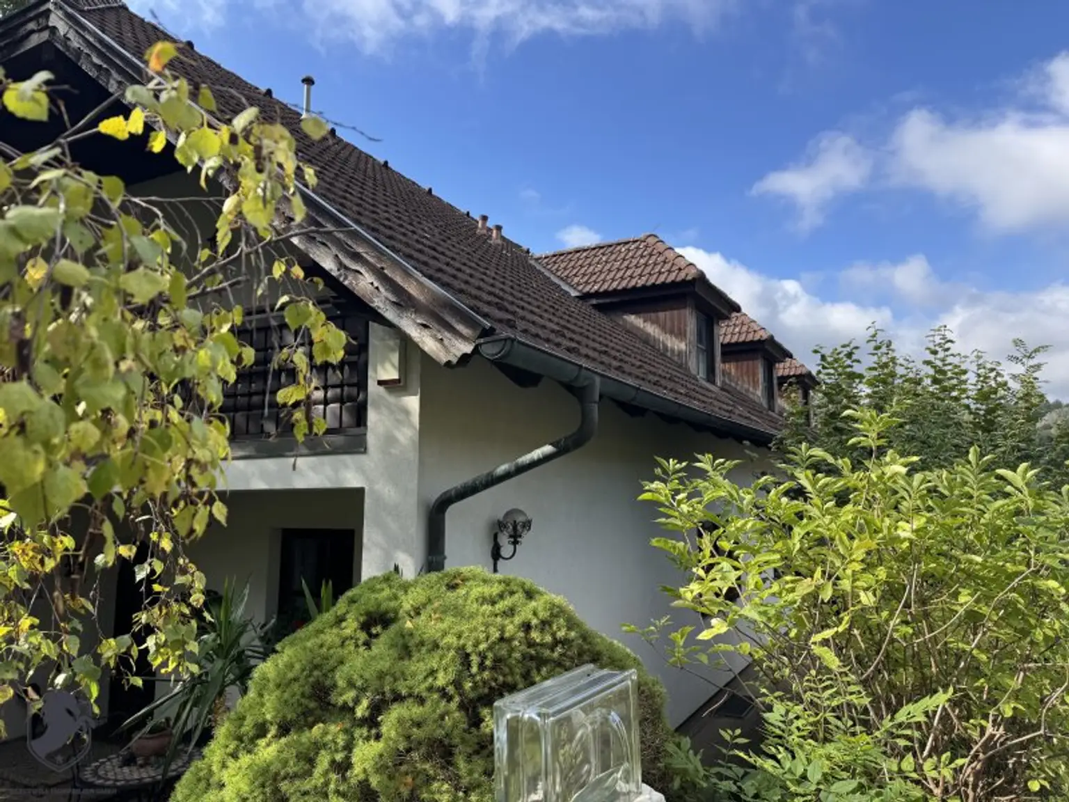 Einfamilienhaus mit großem Keller und traumhaftem Wald-Blick