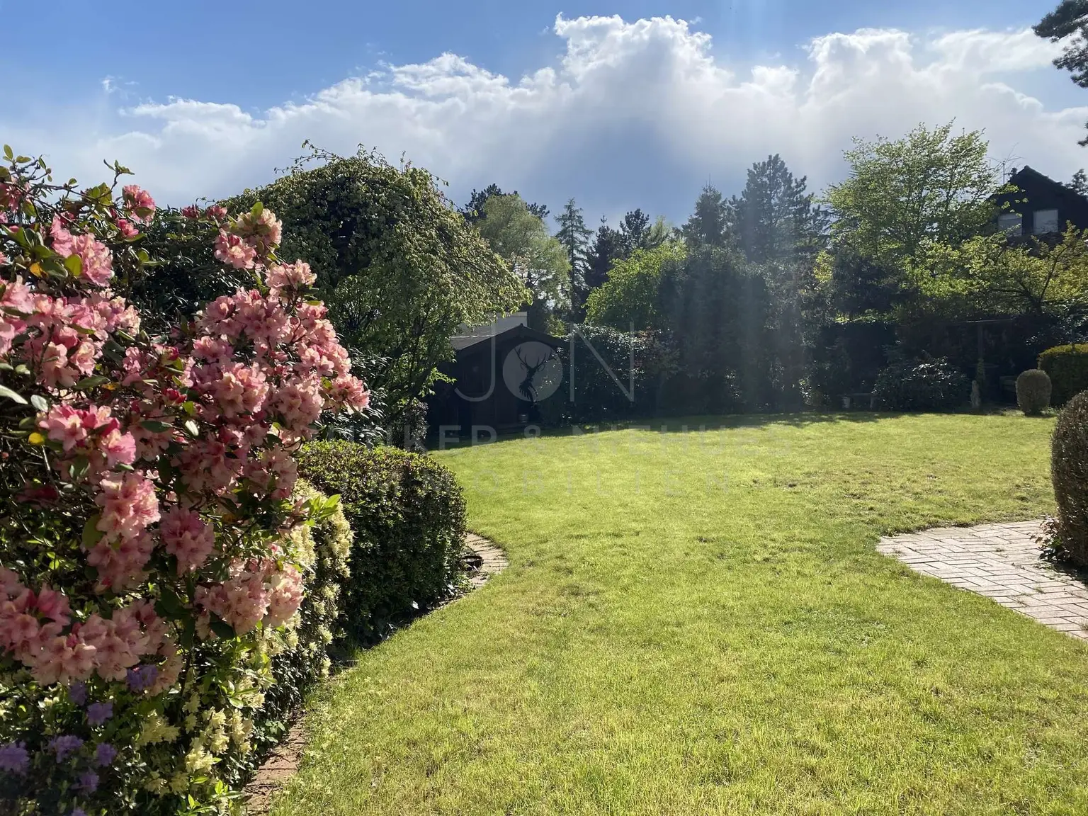 Blick in den Garten