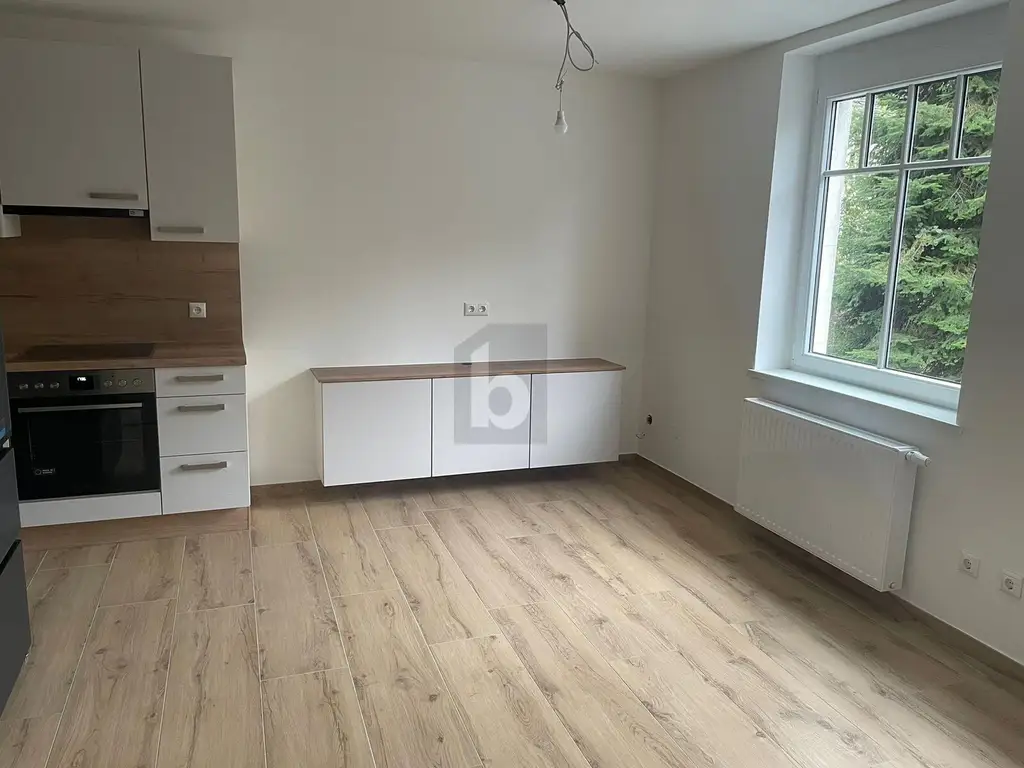 NEU RENOVIERTES WOHNJUWEL IN LINZ