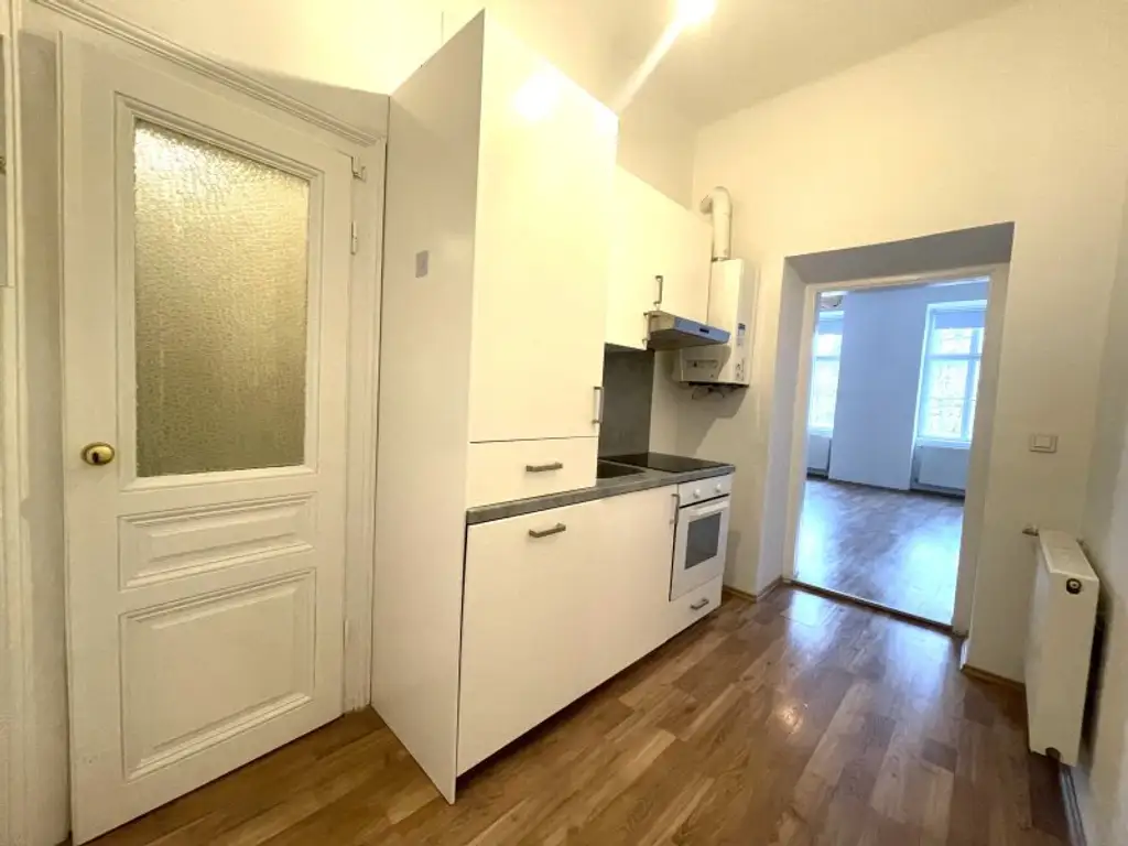 Altbaucharme - neu sanierte 1-Zimmer Wohnung mit möglichen Balkon - Nähe Landstraße