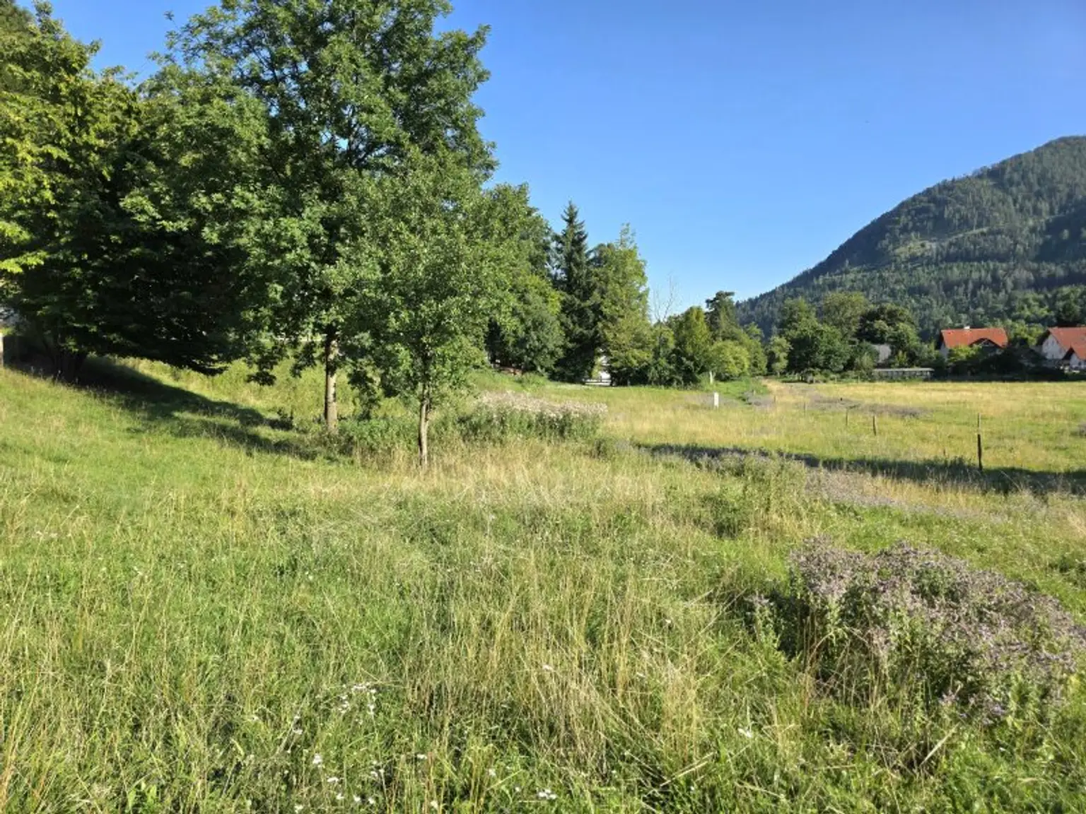 Sonniges Wohnerlebnis mit schöner Aussicht!