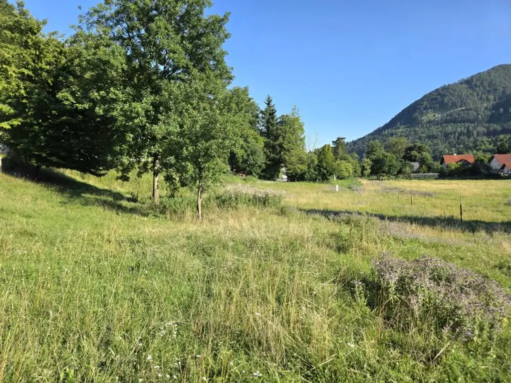 Sonniges Wohnerlebnis mit schöner Aussicht!