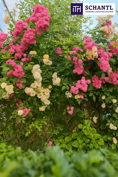 Stark reduziert! Charmante 3-Zimmer-Wohnung mit Urlaubsfeeling – eigener Garten & zwei Balkone in Währinger Toplage