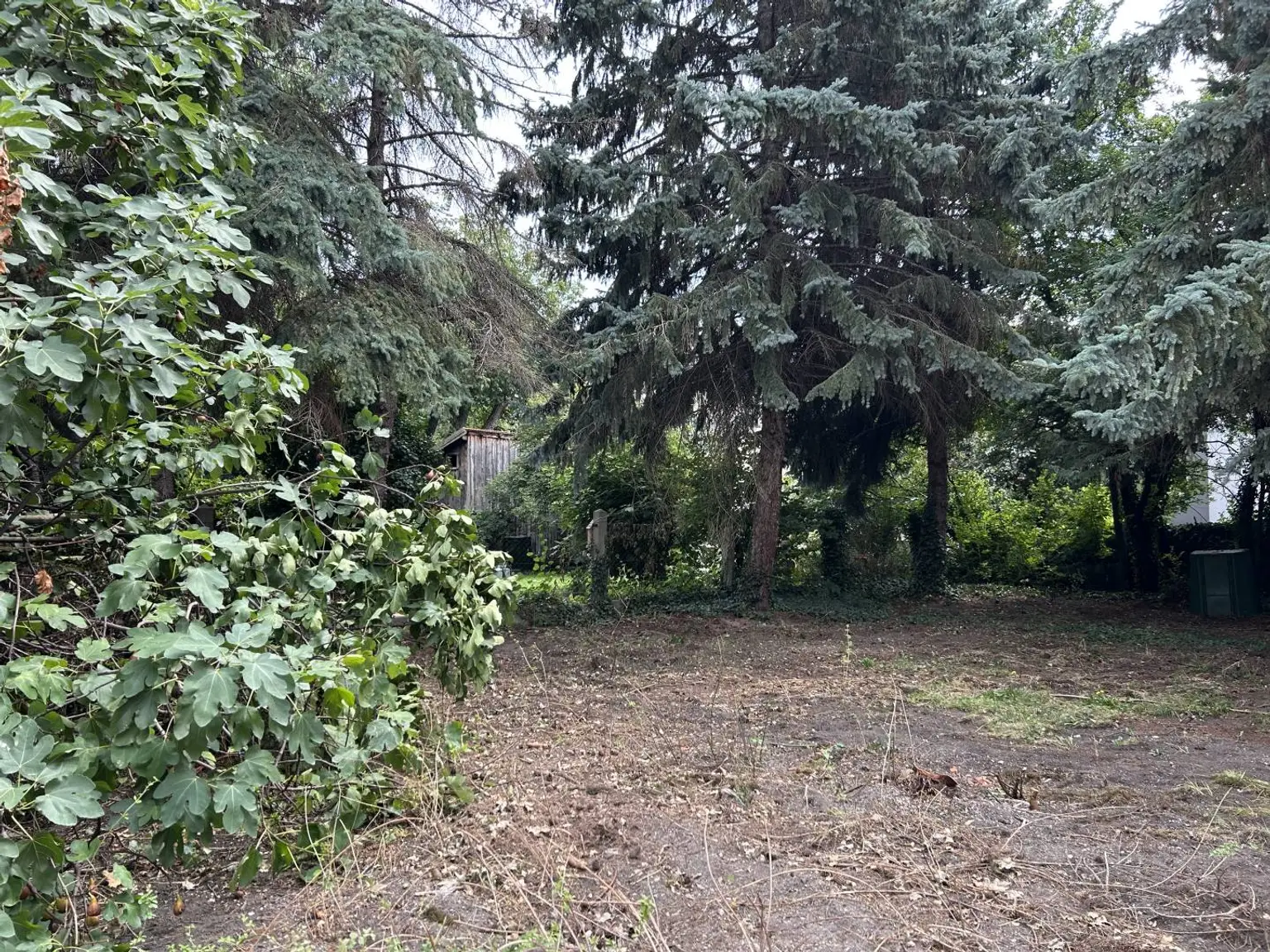 Image00019