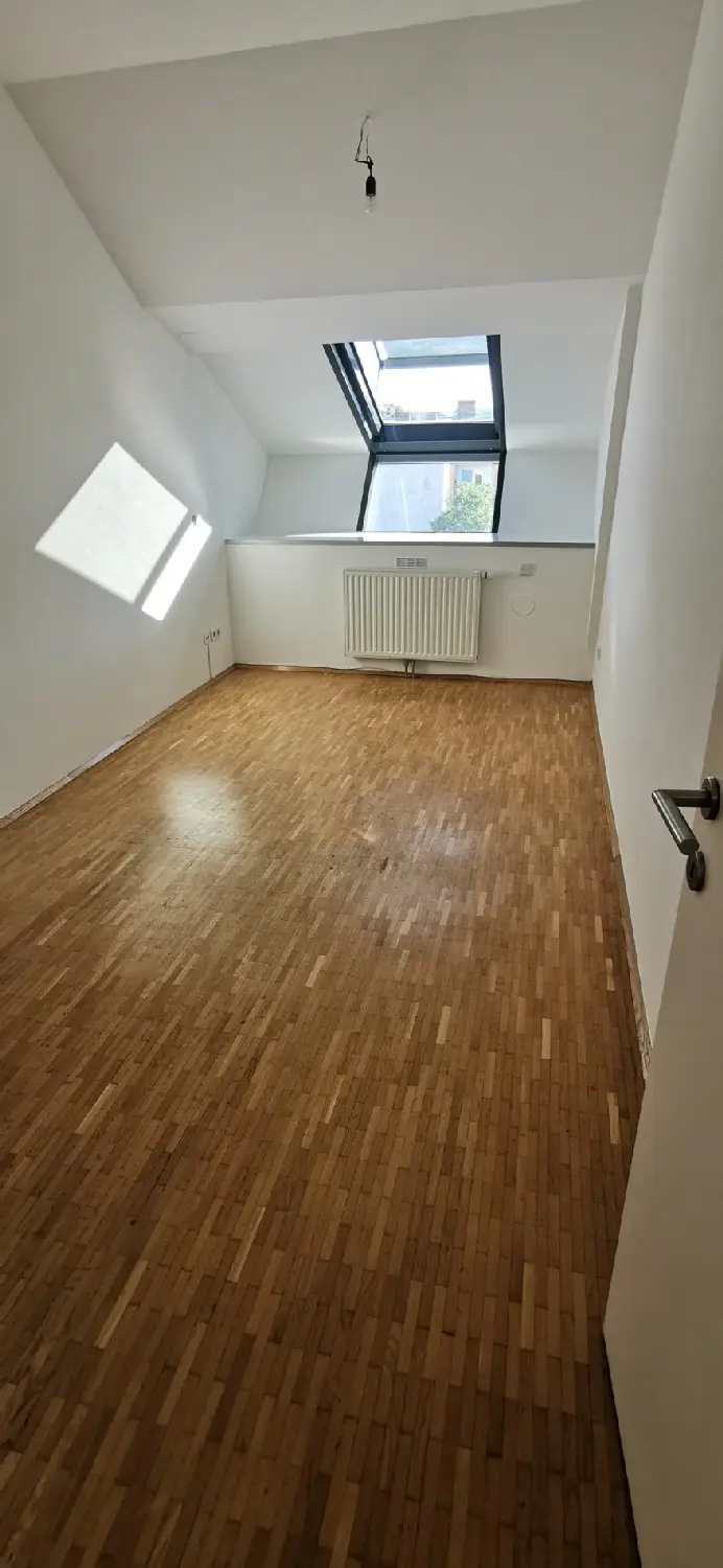 Zimmer II