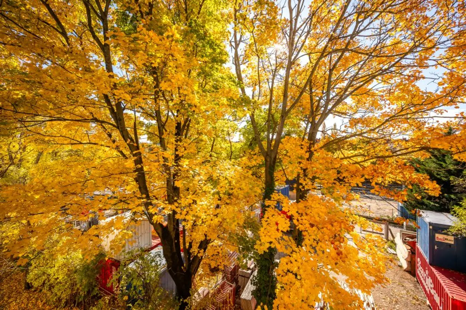 ++Fasangarten++ Altbau mit Potenzial – 2 Zimmer zum Sanieren