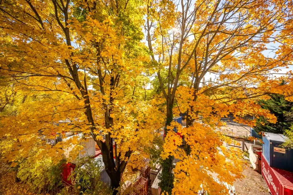 ++Fasangarten++ Altbau mit Potenzial – 2 Zimmer zum Sanieren