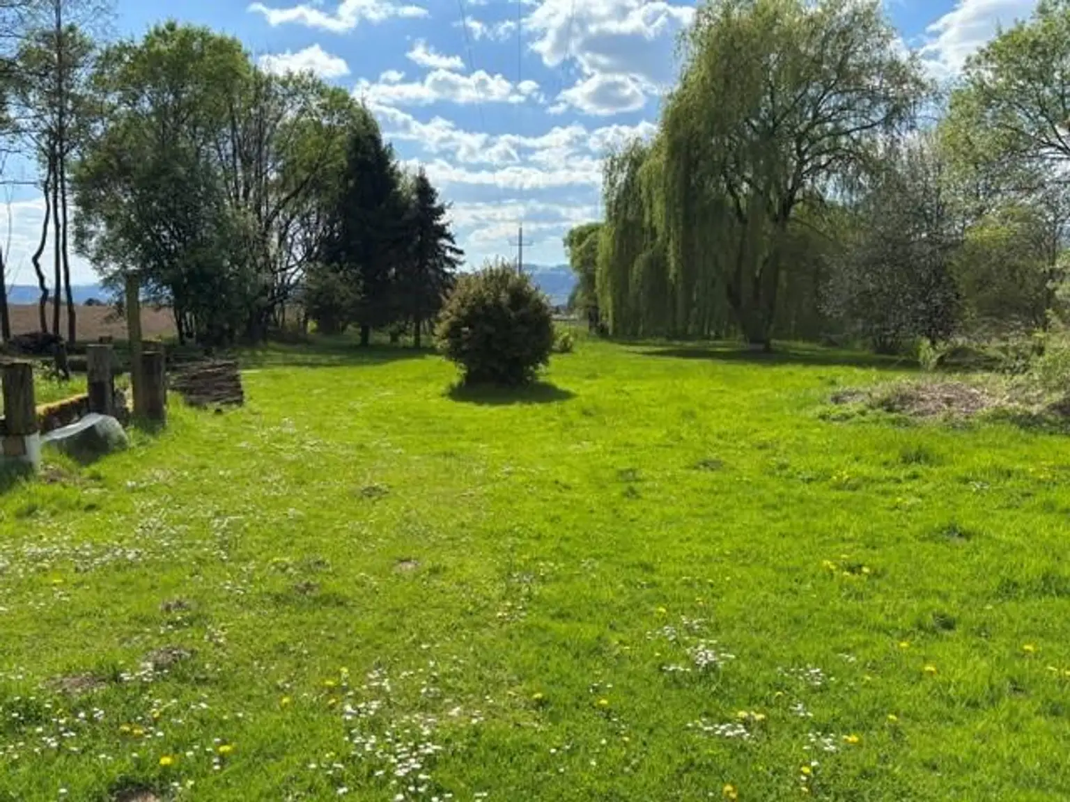 Grundstück Richtung Westen