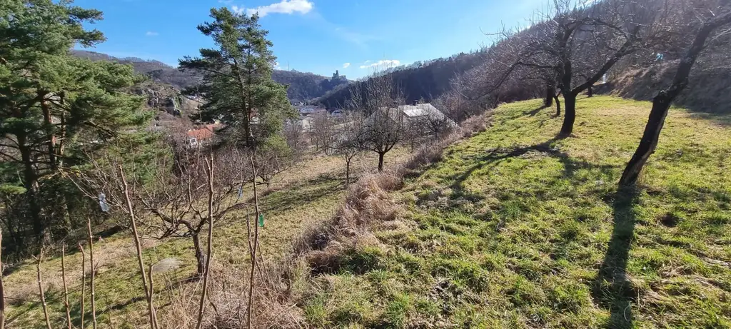 RARITÄT IN SENFTENBERG - GELEGENHEIT AUF EINEN WEINKELLER MIT SCHÖNEM KELLERGEBÄUDE, KELLERRÖHRE SOWIE GARTENHAUS AUF HERRLICHEM TEILWEISE ALS BAULAND GEWIDMETEN GRUNDSTÜCK