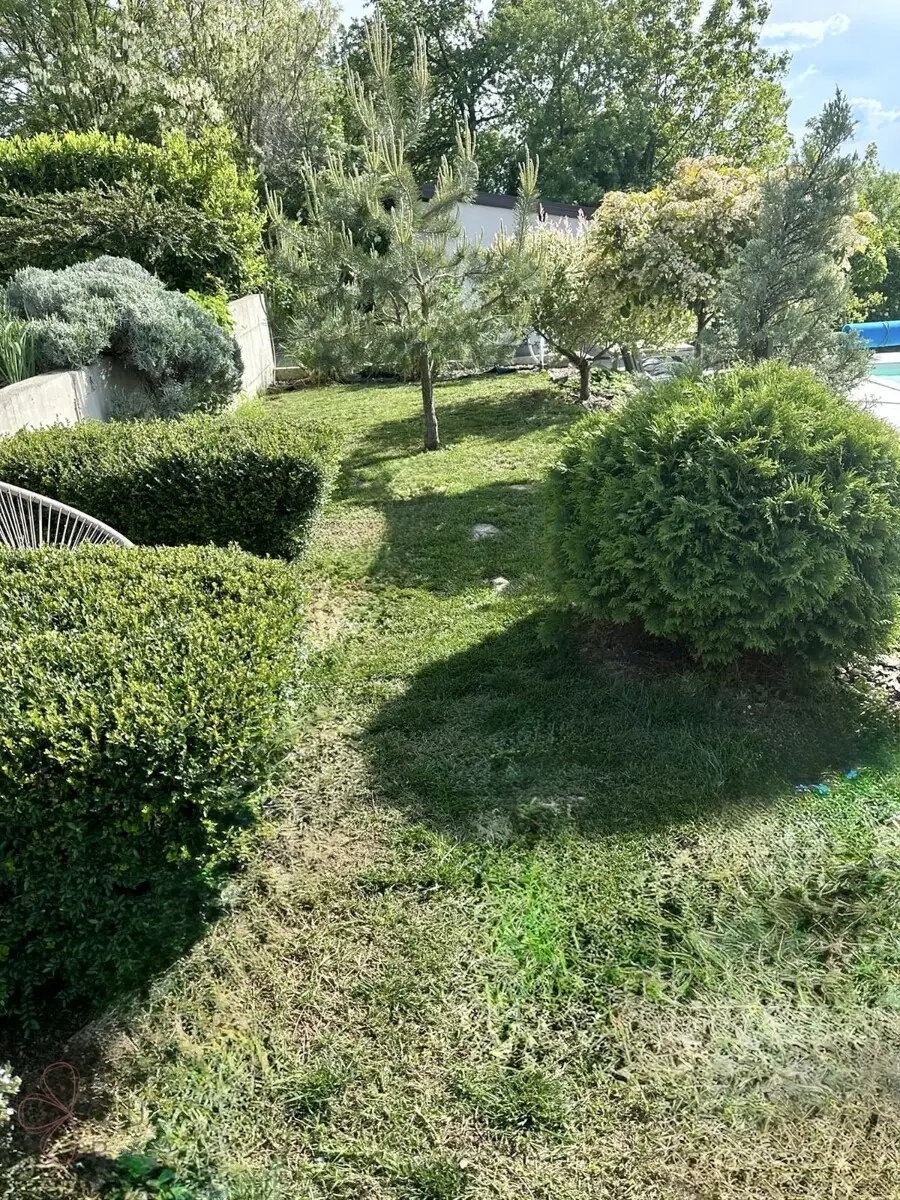 f8204fe9-e4e2-45e5-abb2-f8e072b14ca8