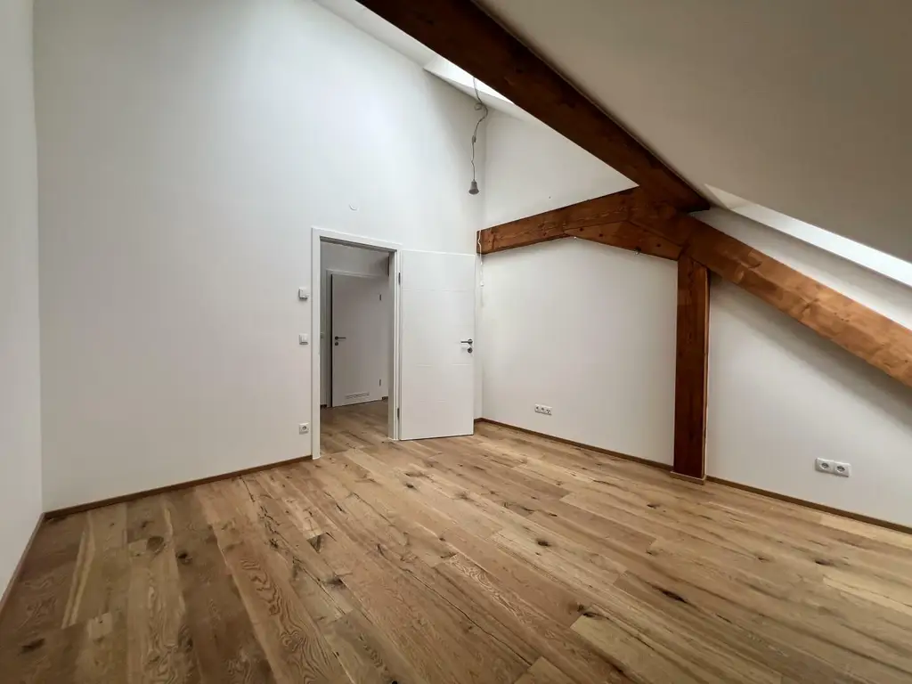 Penthouse-Wohnung + 270m2 Dachterrasse zur Miete als Wohnung oder Büro