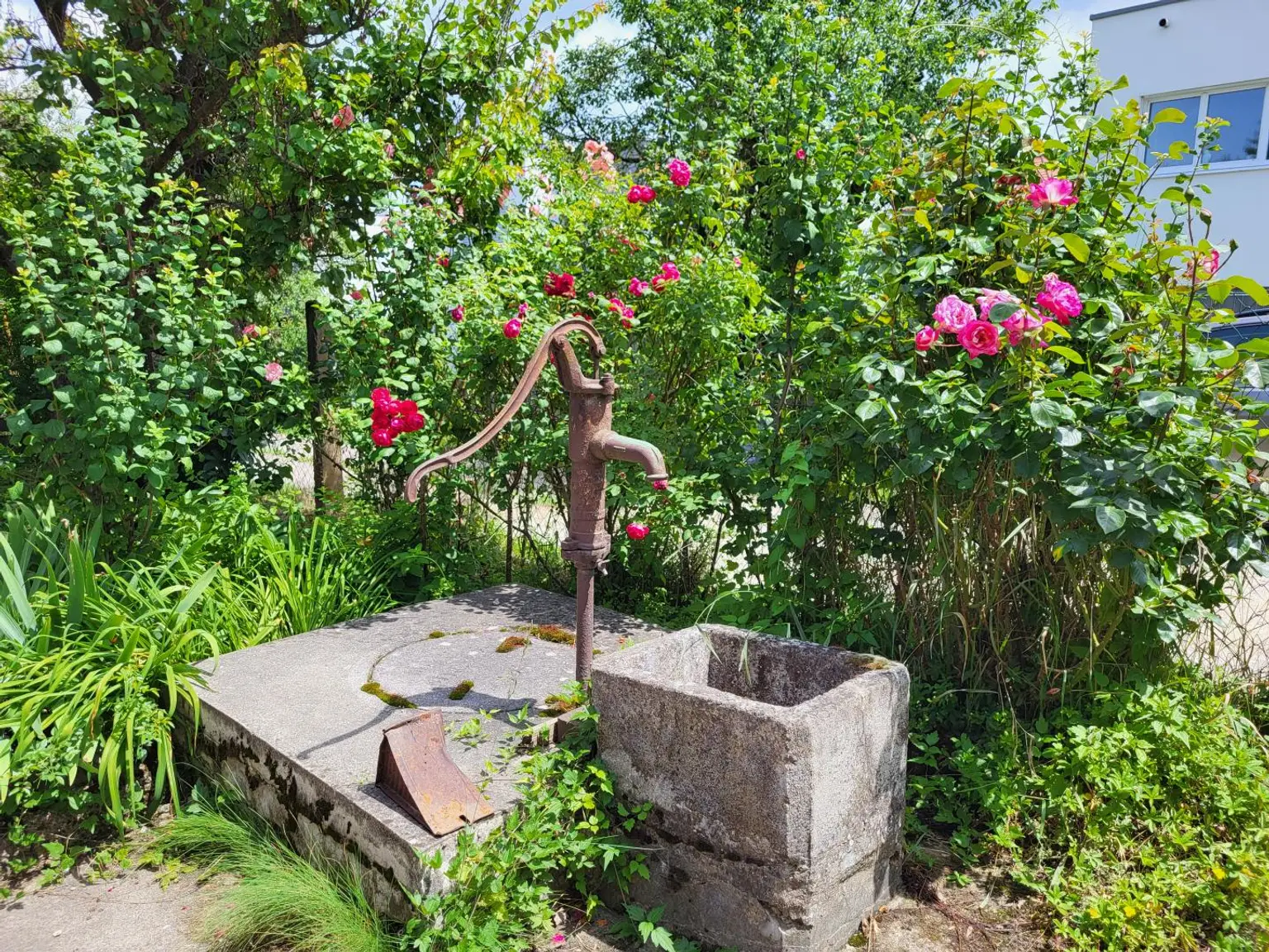 Brunnen
