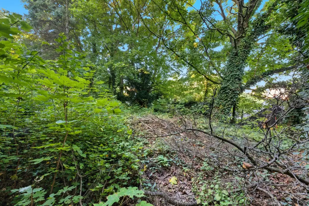 Toplage Bisamberg – Bauträgergrundstück mit attraktivem Entwicklungspotenzial!
