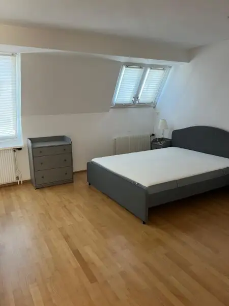 Lichtdurchflutete Maisonette mit 2 Terrassen Nähe Staatsoper!