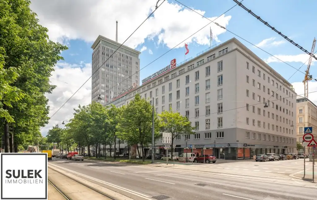 schöne 2 Zimmer Wohnung in bester Innenstadtlage - ab Oktober beziehbar! (Erstbezug nach Sanierung)