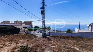 TOP-AS - Plot Tejina-14
