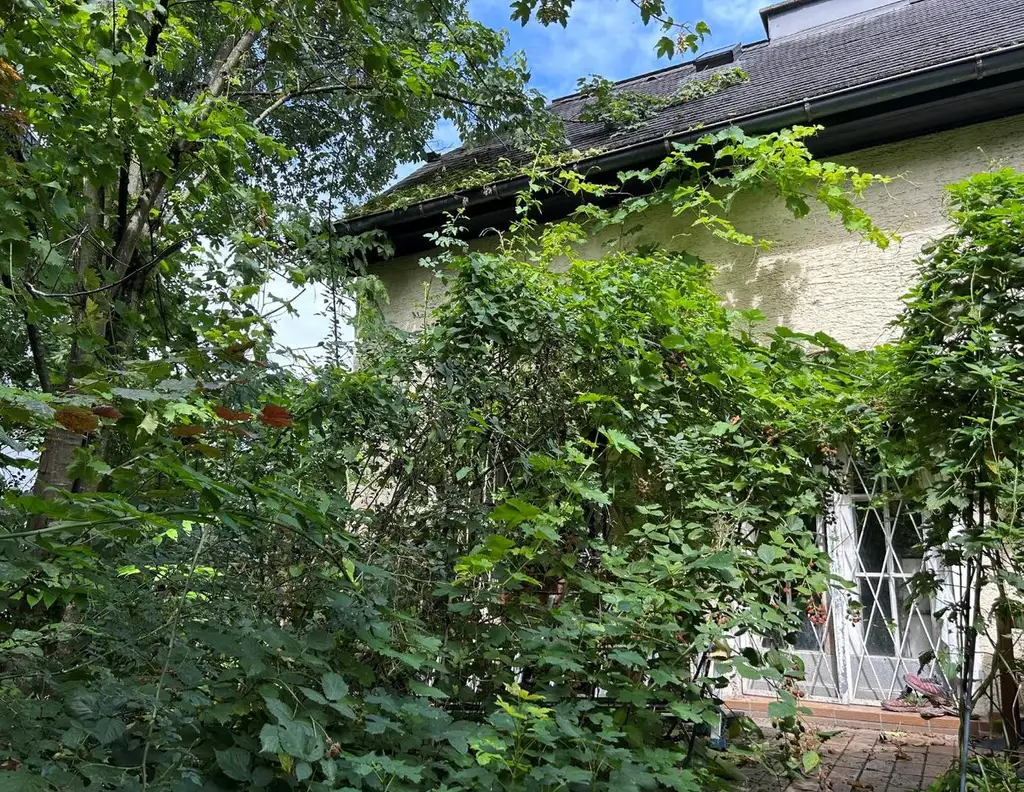 Salzburg Liefering: charmanter Altbau, 577 qm Baugrund in guter Lage, ruhig, sonnig, GFZ 0,6