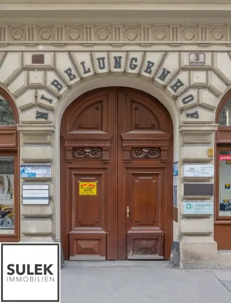Großzügige Stadtwohnung in der Nibelungengasse: ab sofort verfügbar!