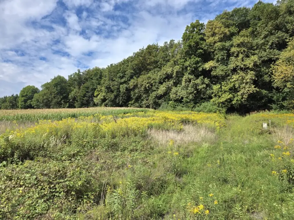 Wohnen am Waldrand mit Fernblick!