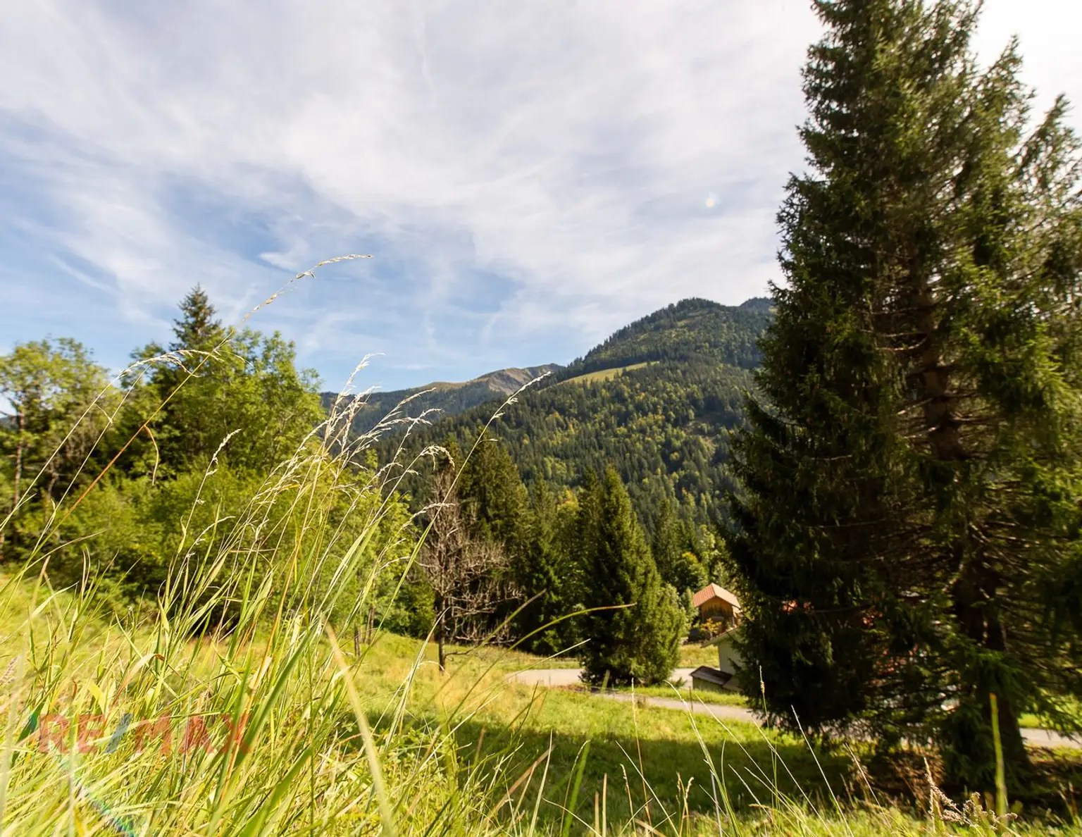 Ankommen und Ausspannen auf 950 m² Naturglück