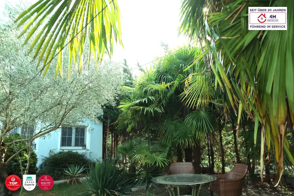 Kalifornien-Flair, Wiener Adresse – das Beste aus zwei Welten
