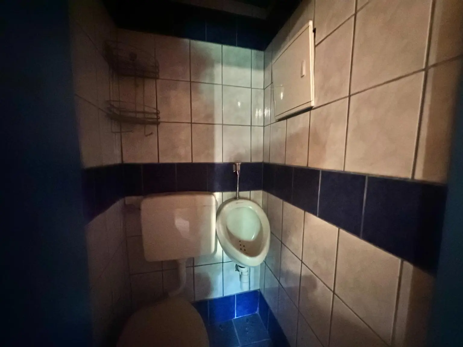 Reiterparadies im Weinviertel – Ihr Traum vom Landleben!