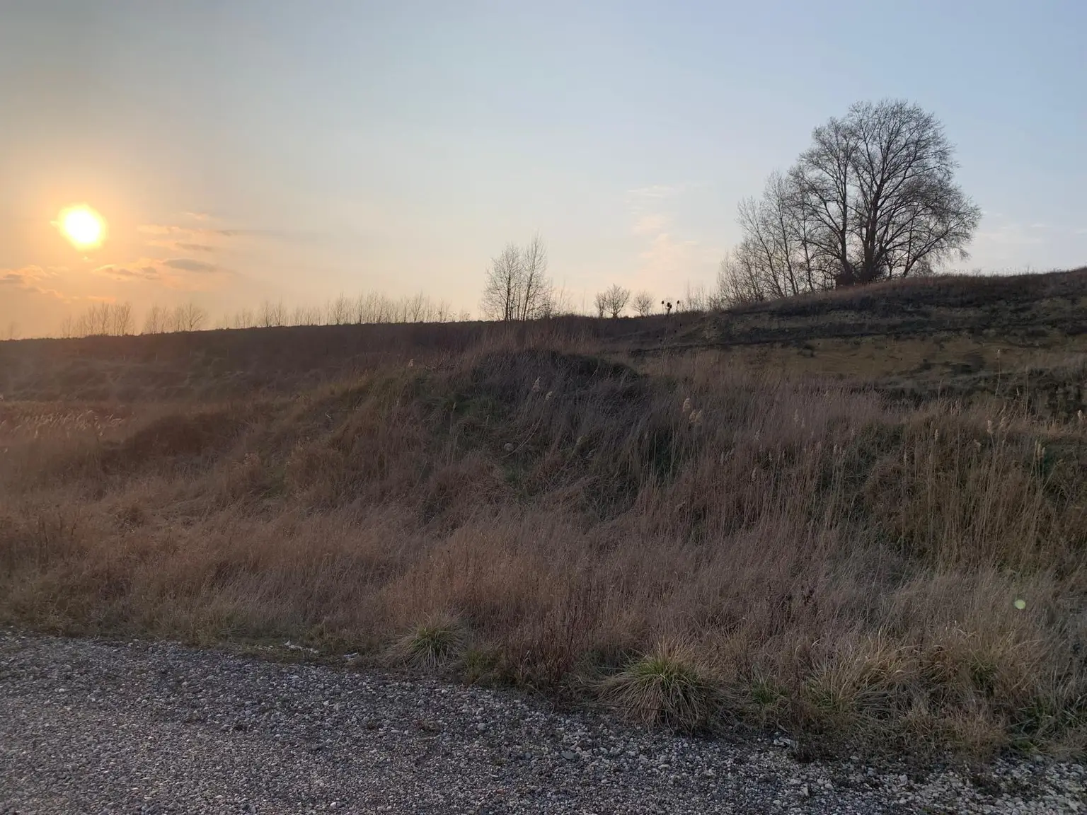 INDUSTRIEGRUNDSTÜCK - 40 Minuten vor Wien