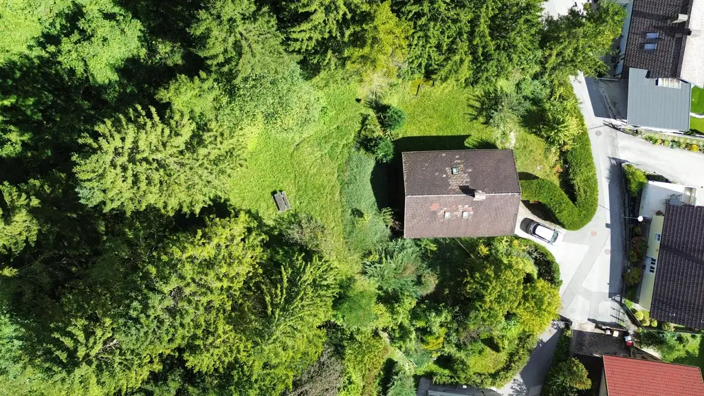 Naturnah wohnen – Einfamilienhaus am Waldrand