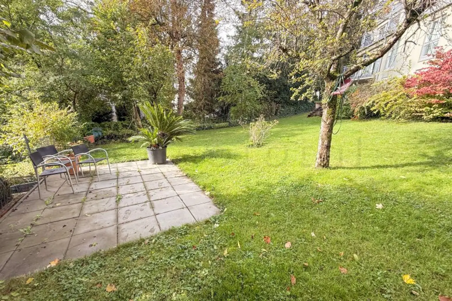 Dornbach - Pointengasse: Großzügige Terrassenwohnung mit unverbaubarem Grünblick
