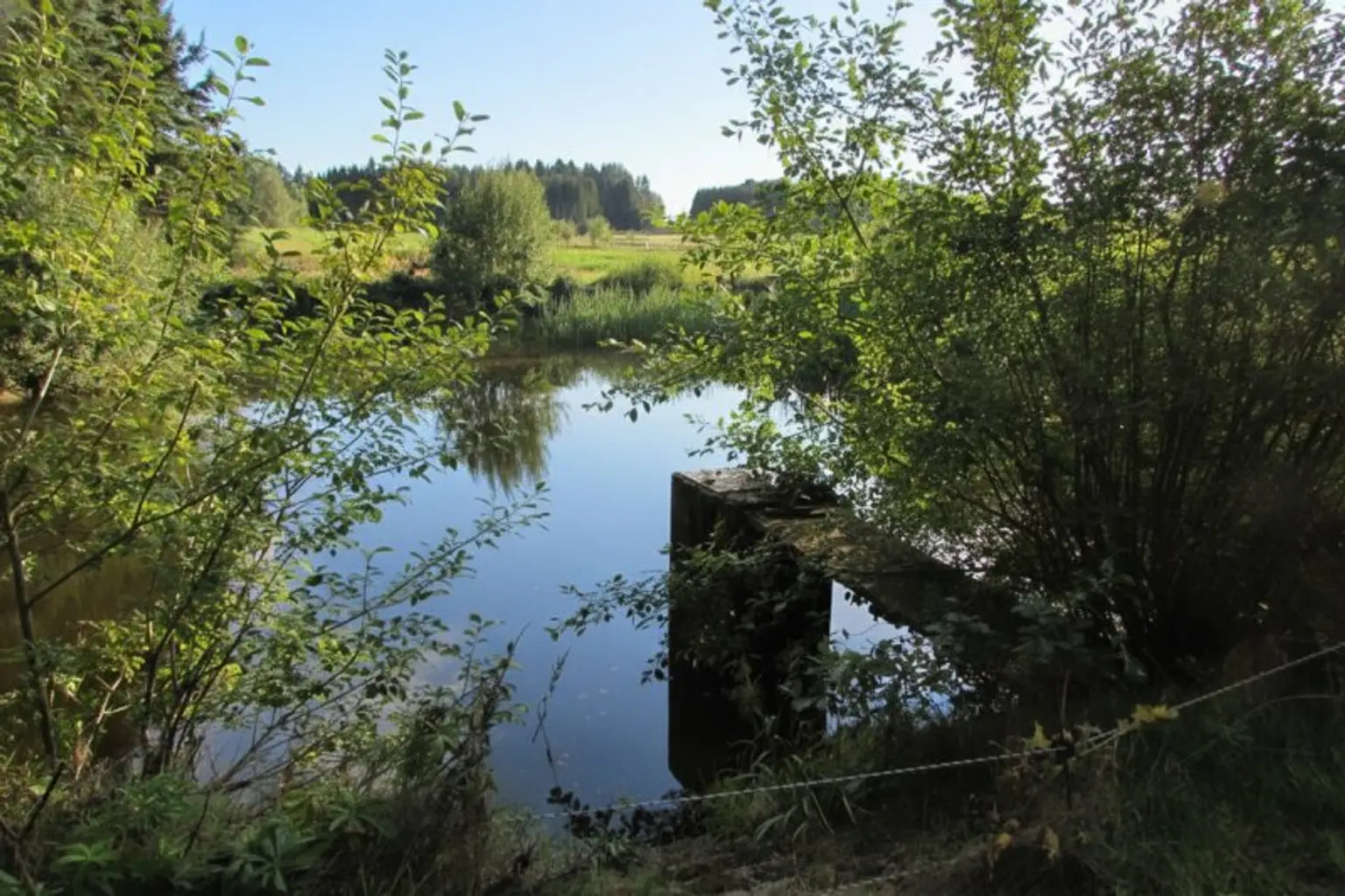 *****Fischteiche im nördlichen Waldviertel*****