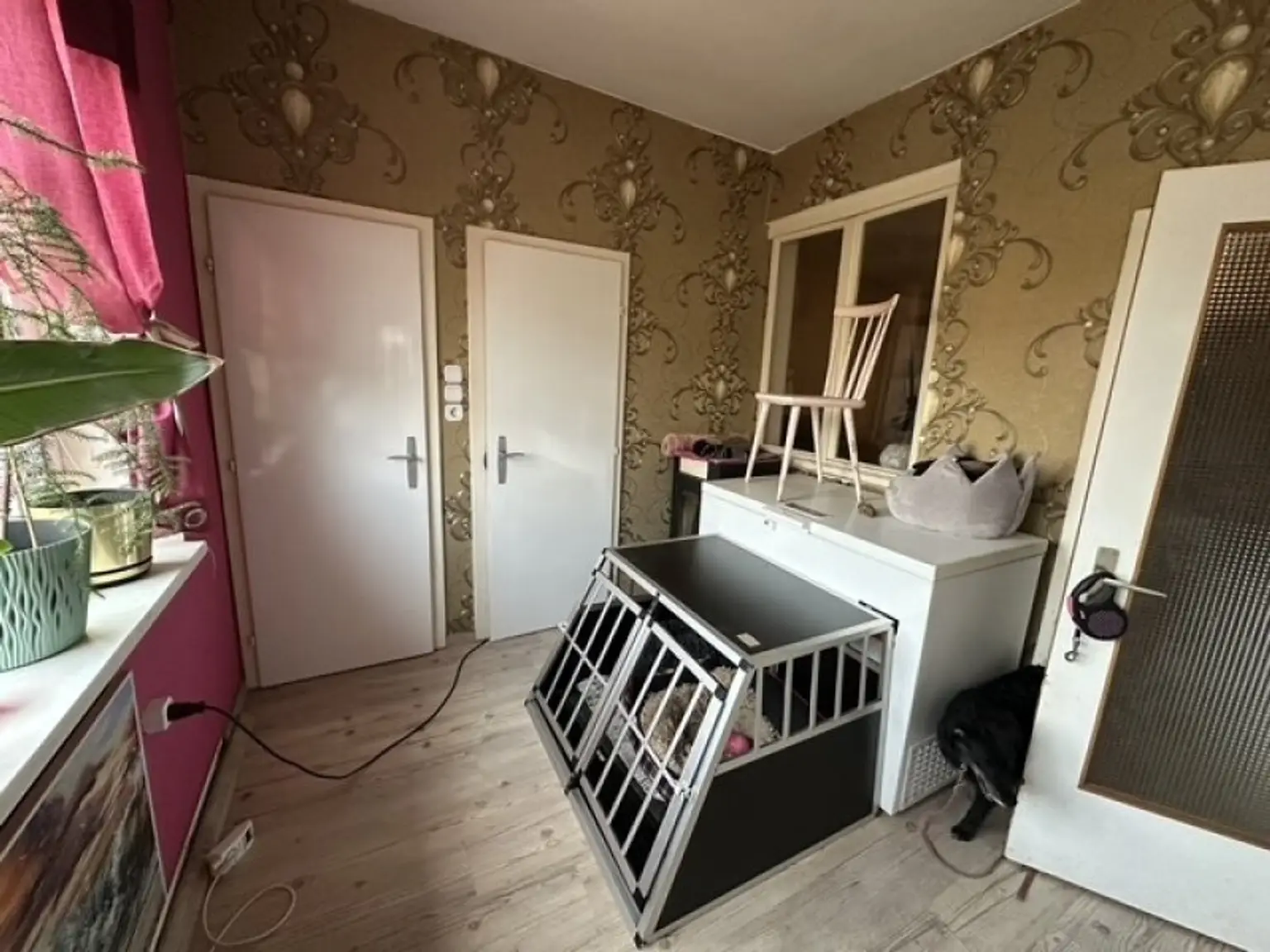 Wallern - Haus mit viel Potential im Seewinkel, Nebengebäude, großer Grund