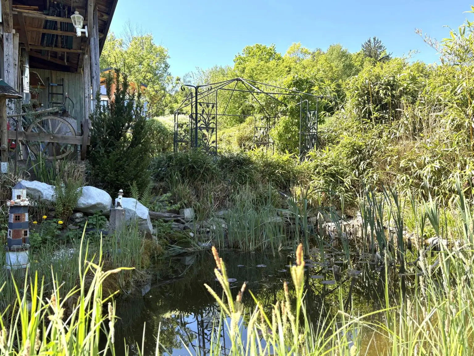 Teich