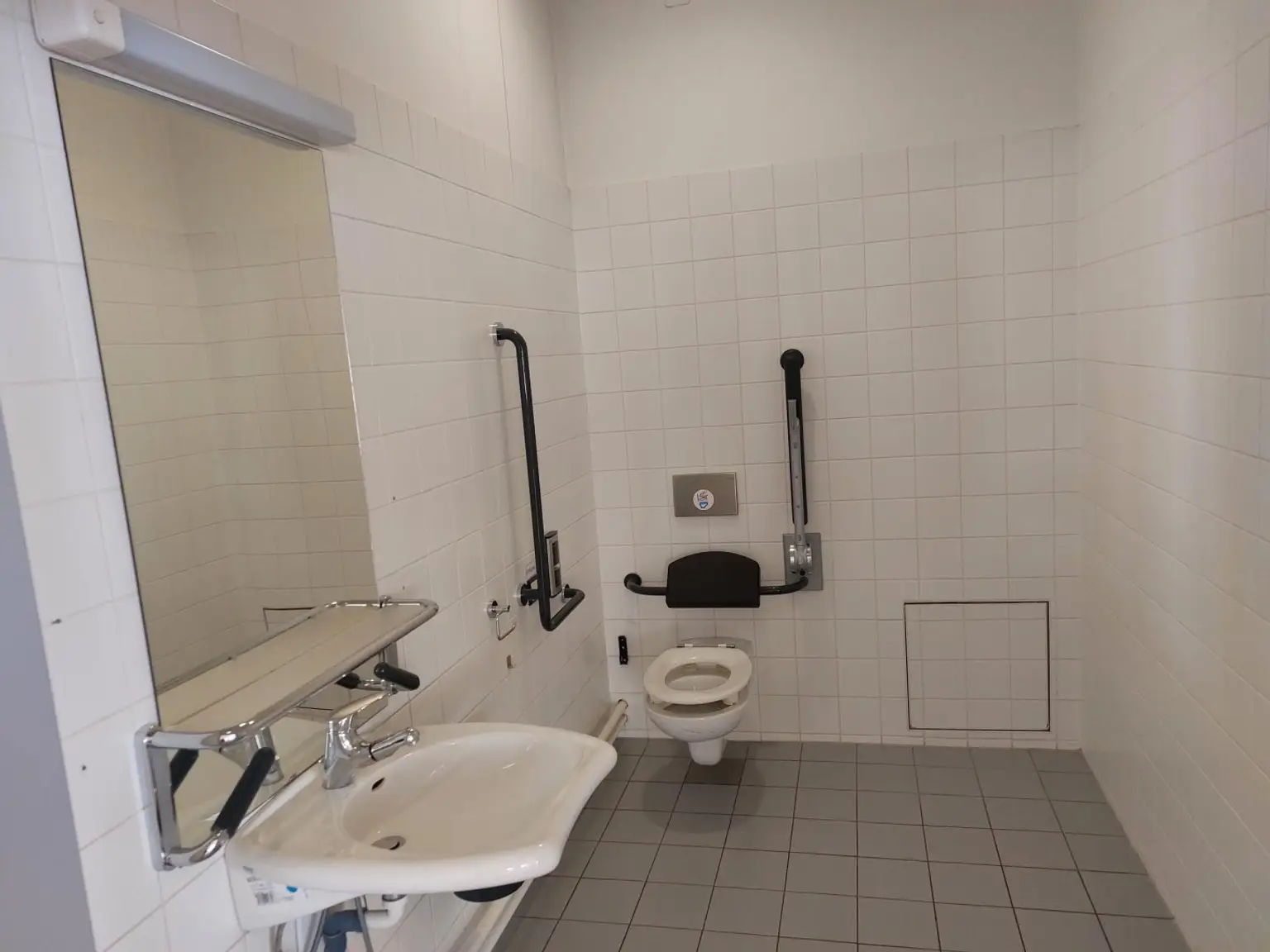 Behinderten-WC 3.17A