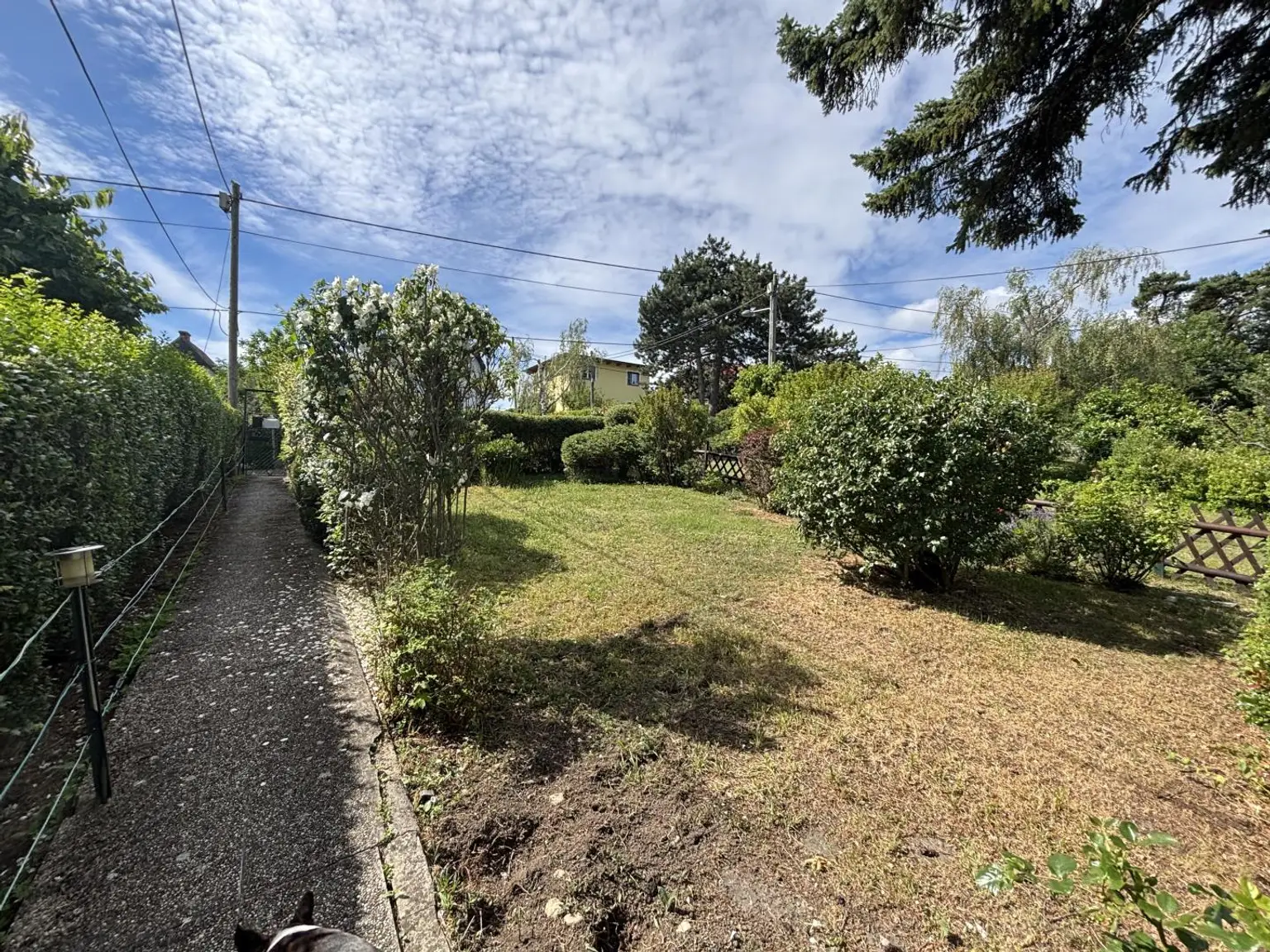 Garten_straßenseitig