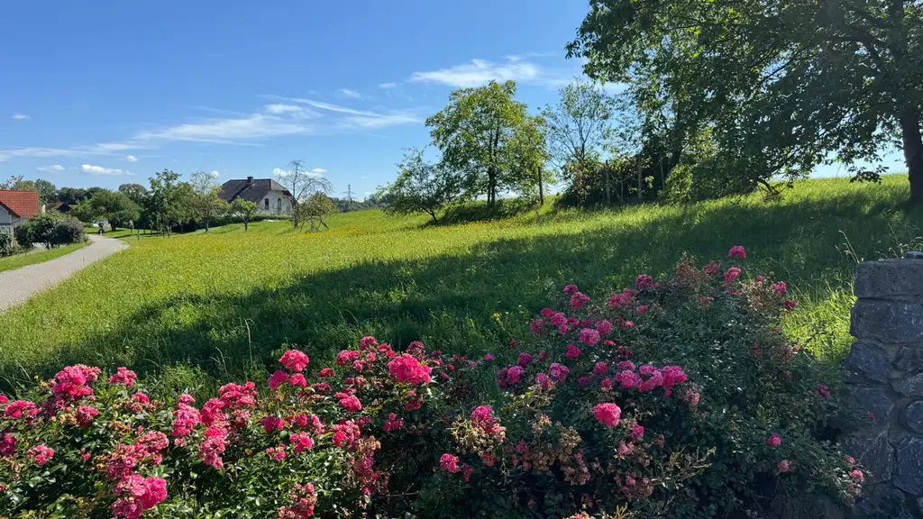 Sonniges Baugrundstück in idyllischer Lage – Edelsgrub, 8302 Nestelbach