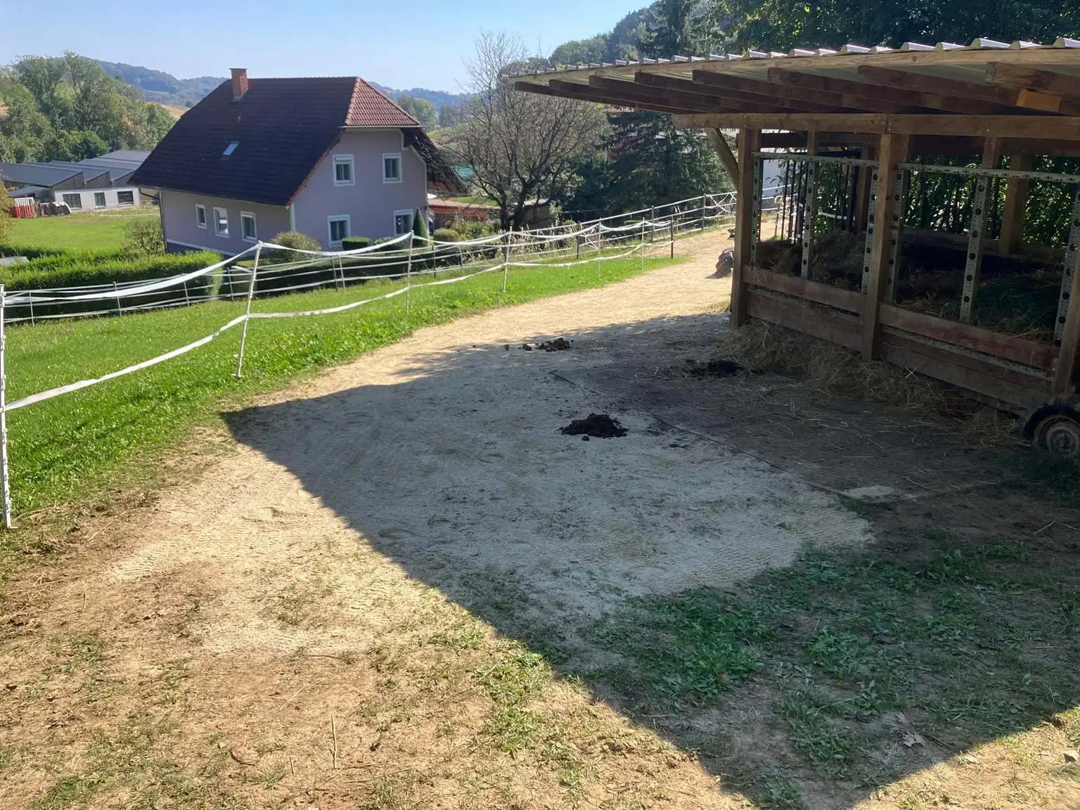 Deine Tiere und Du - bei Feldbach