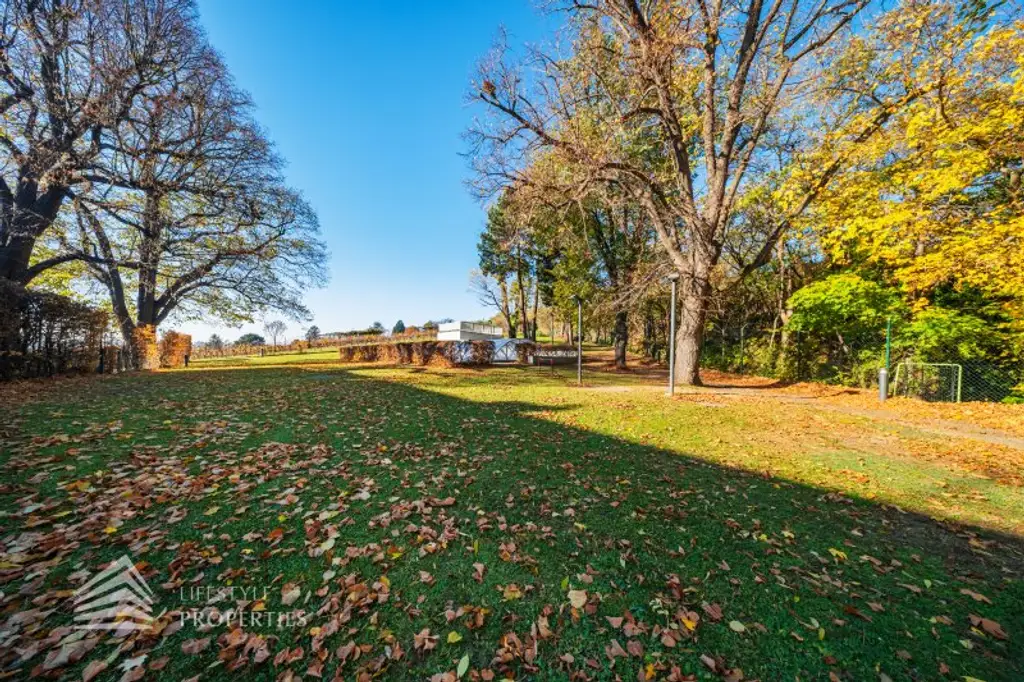 Wunderschöne 5 - Zimmer Wohnung mit Terrasse und Garten