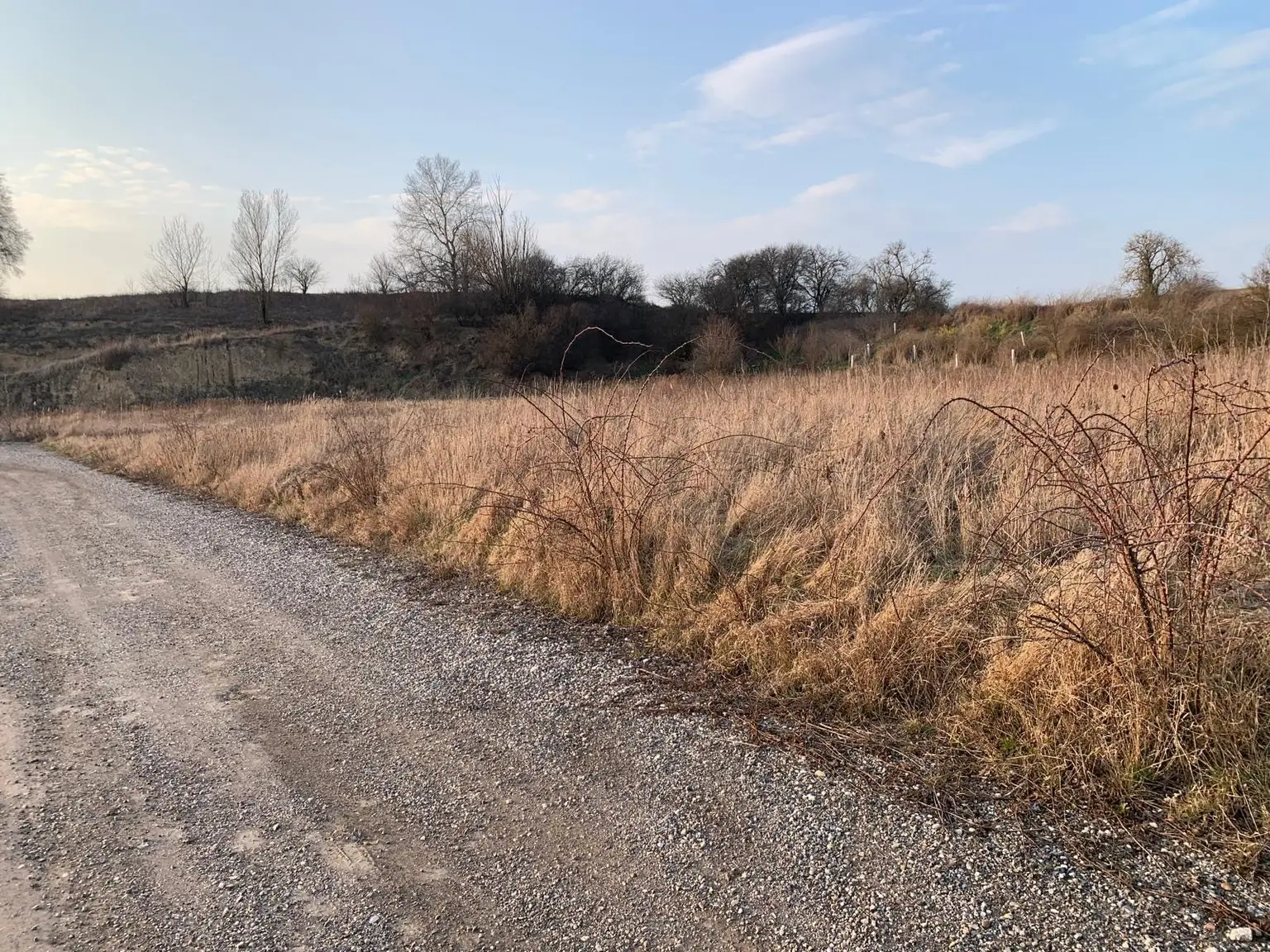 INDUSTRIEGRUNDSTÜCK - 40 Minuten vor Wien