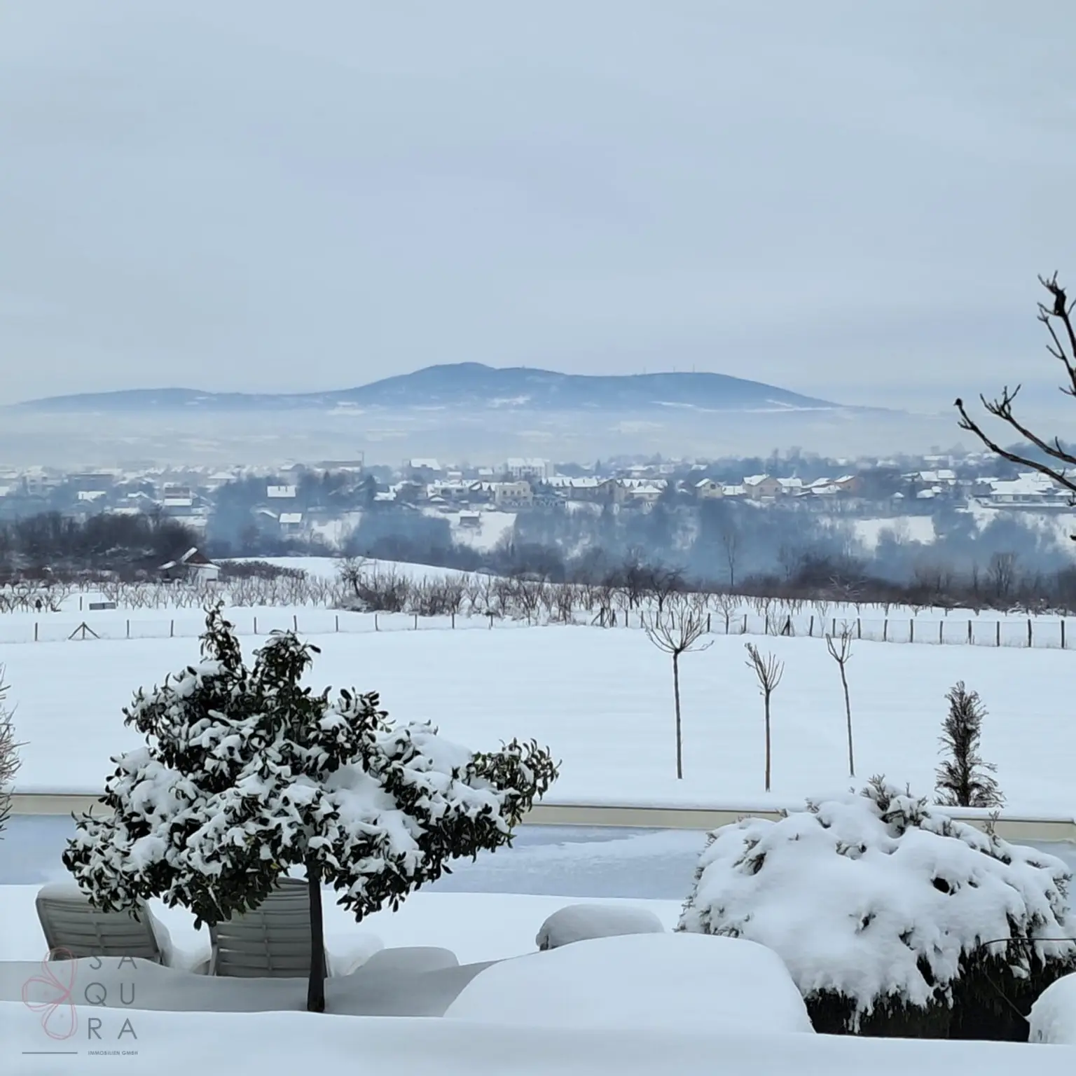 PHOTO-2026-01-09-10-48-15