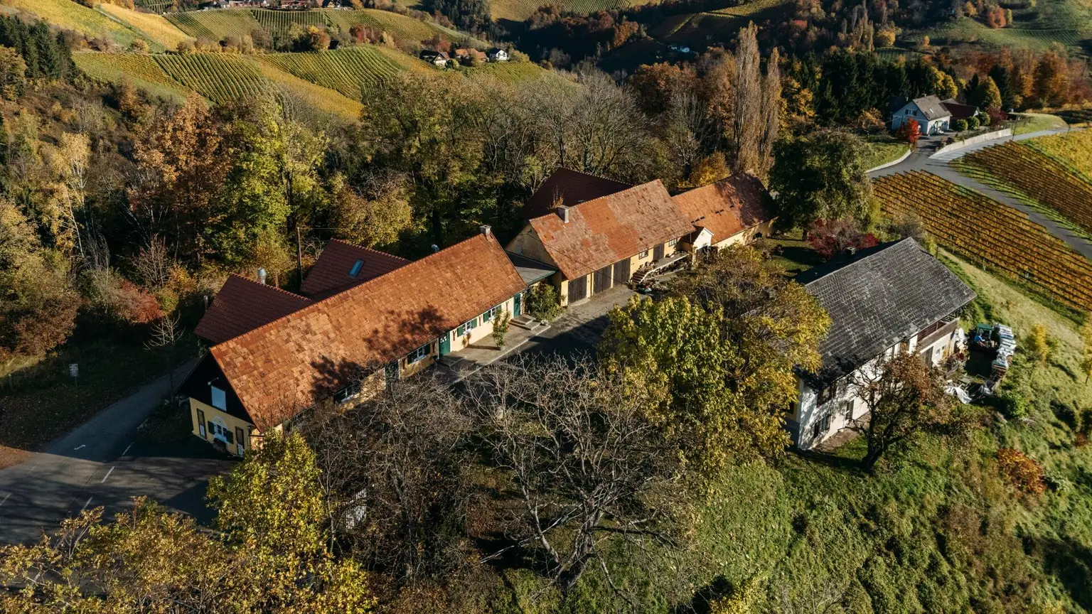 Buschenschank/Heuriger Eory zum Traubenkogel zu verkaufen!