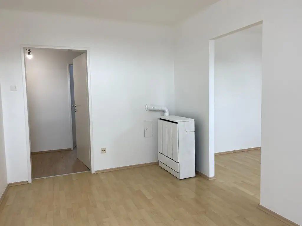 Frisch sanierte DG-Wohnung nahe AKH/U6