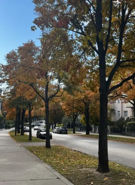 GRINZINGER RUHELAGE - BALKONMIETE