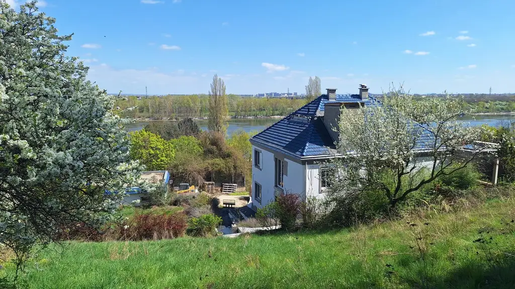 Edelrohbau-Villa, Herrschaftlicher Wohnsitz am Fuße des Kahlenberges an der Donau. Teilrestauriert entkernt und komplette Ausbauplanung.