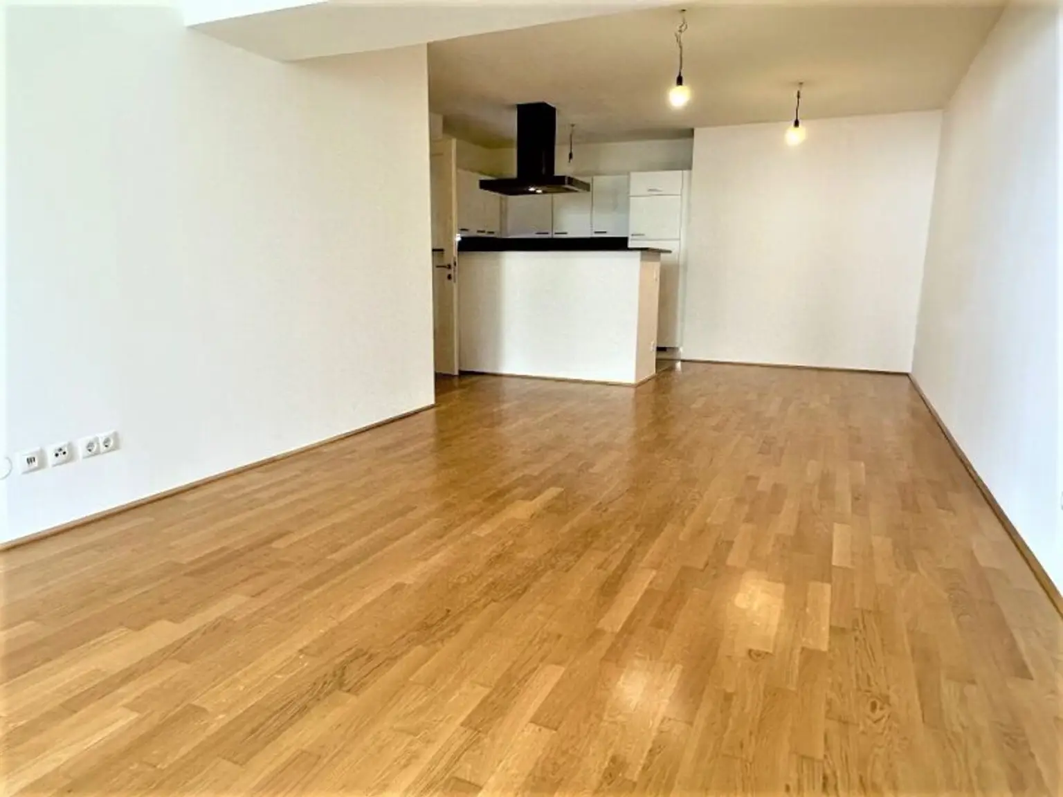 HOFRUHELAGE, HUMBOLDTGASSE, 80 m2 Neubau inkl. Loggia, 2 Zimmer, Komplettküche, Wannenbad, Parketten, U1-Nähe
