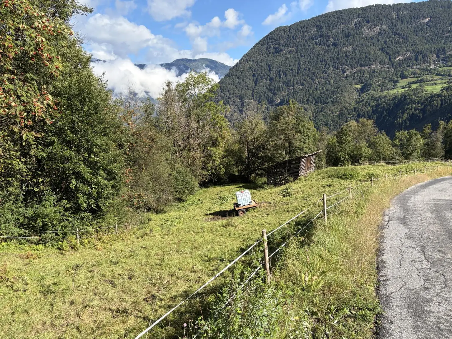 Sautens - Grundstück Stadel.